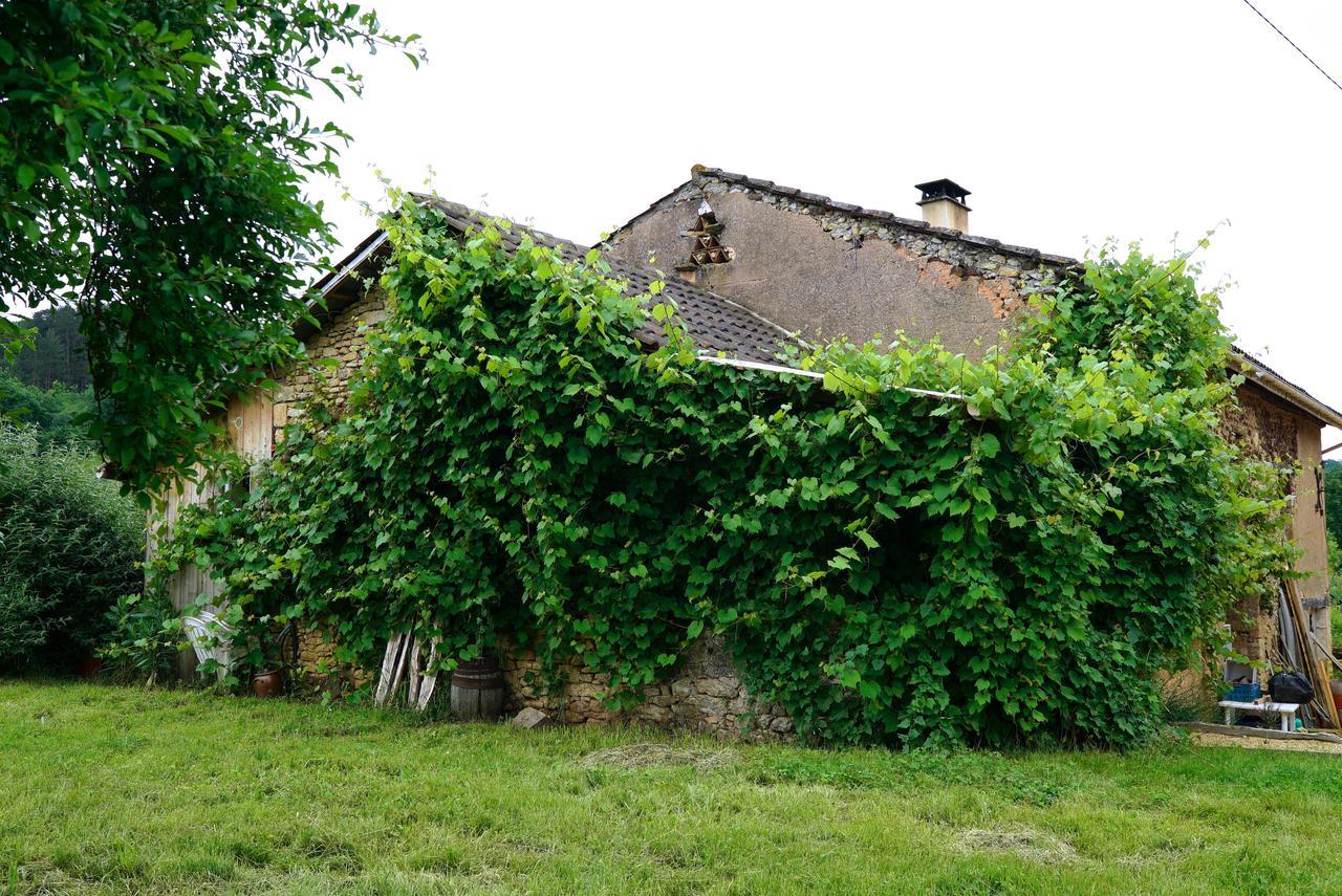 Villa La Prairie Siorac-en-Périgord Exterior foto